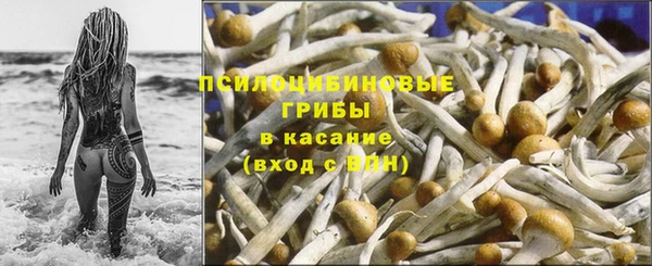 дурь Алексин