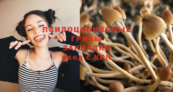 дурь Алексин