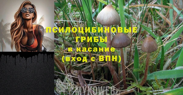 прущие крисы Алексеевка
