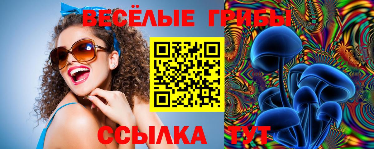 Галлюциногенные грибы Psilocybine cubensis Самара